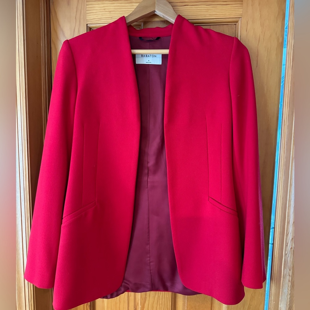 Aritzia Babaton